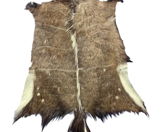 Tanned Nyala Antelope Hide – African Leather Rug (45x38")