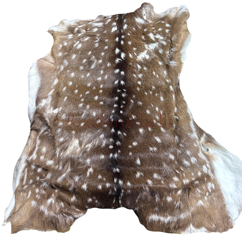 May include: A tanned deer hide with a brown and white spotted pattern. The hide has a natural shape with varying shades of brown and white, and a soft, textured appearance. The hide is likely used for crafting or decorative purposes.