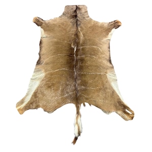 May include: A natural tan and brown animal hide rug featuring a central dark stripe running down the length of the pelt, with lighter cream-coloured fur along the edges and a distinct tail extending from the bottom of the hide.