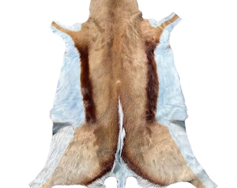 Dyed Baby Blue Springbok Skin - Average Size 35X22&quot; Blue Deer Skin, Dyed Antelope Hide, Baby Blue Springbuck Skin