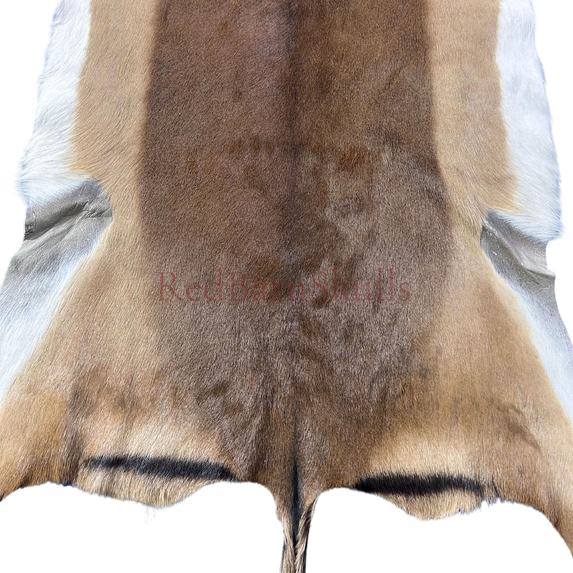 Impala Animal Rug Real Impala Skin - Deer Leather Rug Deer Skin for Pillows, Wallets ...
