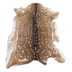 Axis Deer Hide # 760 (size 39X30&quot;) Real Chital Deer Skin - Leather for upholstery, Deer skin for pillows, wallets, hand bags, deer floor rug