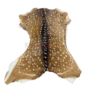 Axis Deer Skin # 757 (size 42X36") Real Chital Deer Skin - Leather for upholstery, Deer skin for pillows, wallets, hand bags, deer floor rug
