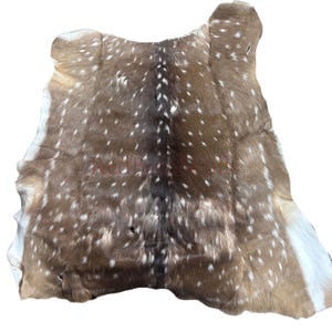 May include: A brown and white spotted deer hide. The hide has a natural shape with a dark brown center and lighter brown edges. White spots are scattered across the surface, creating a unique pattern. The hide is likely for decorative purposes.