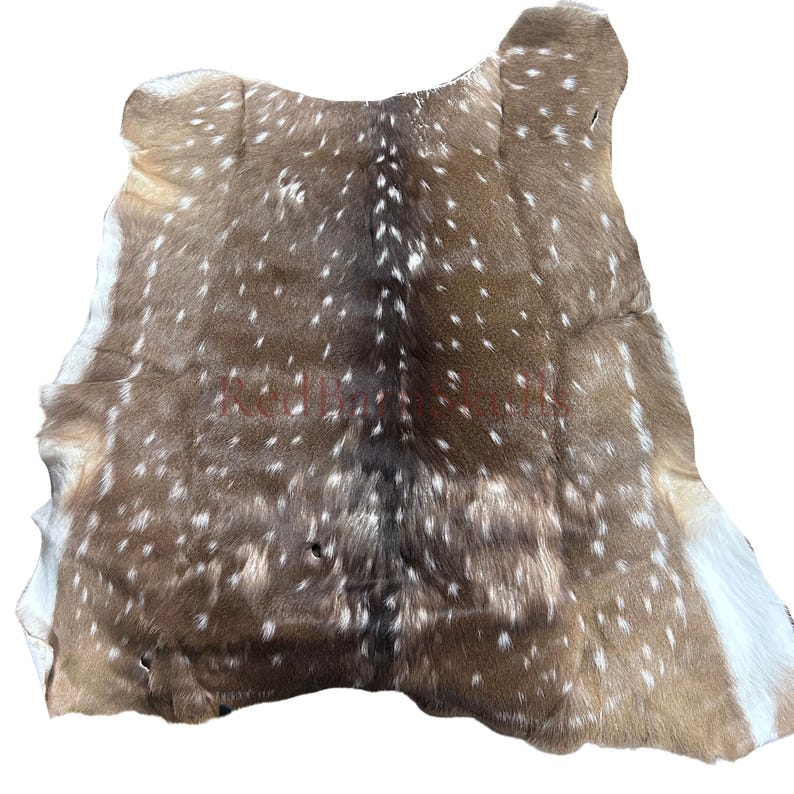 May include: A brown and white spotted deer hide. The hide has a natural shape with a dark brown center and lighter brown edges. White spots are scattered across the surface, creating a unique pattern. The hide is likely for decorative purposes.