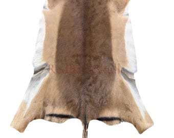 Real Impala Skin - Deer Leather Rug Deer skin for pillows, wallets, hand bags, deer floor rug - Impala Hide - Impala Antelope Skin