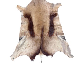 Copper Springbok Skin - Deer Leather Rug Deer skin for pillows, wallets, hand bags, deer floor rug Naturally Copper Springbok Hide
