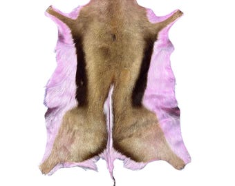 Dyed Rose Springbok Skin - Average Size 35X22&quot; Rose Deer Skin, Dyed Antelope Hide, Rose Pint Springbuck Skin