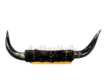 Polished Cow Horn Mount - 31" Wide Horns Rustic Decor Arts and Crafts Longhorn, Horn Mount