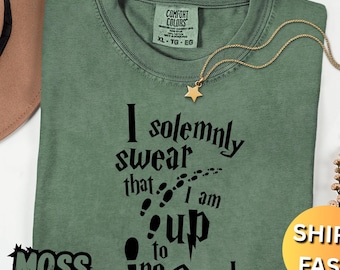 Magical Book Shirt, Bookish Comfort Colors T-Shirt, Wizarding World Shirt, Magical School Shirt, Fantasy Lover Gift, Universal Studios Shirt