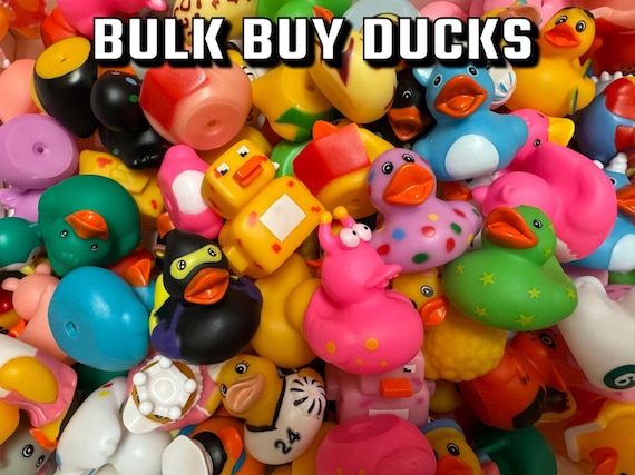 Bulk Rubber Ducks: Unique Variety Pack