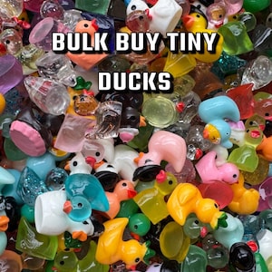 Patitos pequeños: set misterioso único a granel