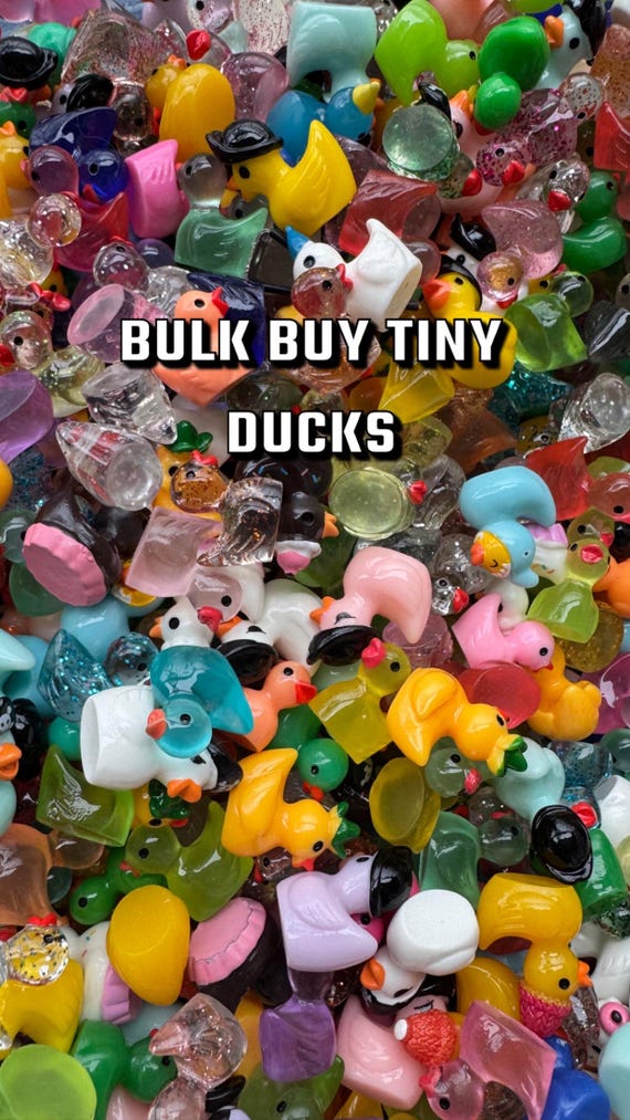 Tiny Ducks: Unique Mystery Bulk Set