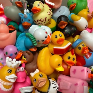 May include: A colorful assortment of rubber duck toys in various designs and colors. The collection includes ducks with hats, crowns, and other accessories. Some ducks are reading books, and others have unique patterns.