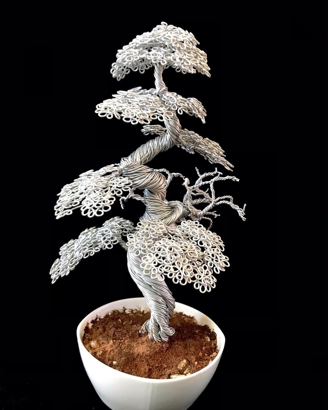 bonsai ginseng standort Ficus Microcarpa Ginseng S Form - 80cm main image 1