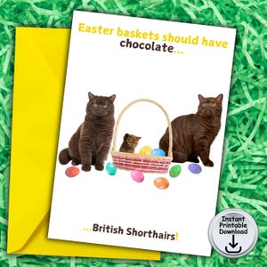 Carte de Pâques, carte chocolat pour amoureux des chats, paniers de Pâques devraient avoir du chocolat, carte photo chats British Shorthair, téléchargement numérique imprimable