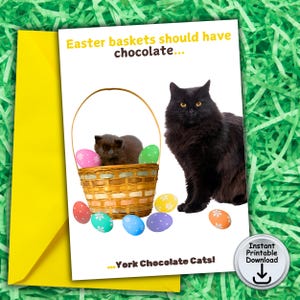 Carte de Pâques, carte chocolat pour amoureux des chats, paniers de Pâques devraient avoir du chocolat, carte photo York chocolat chats, téléchargement numérique imprimable