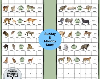 Wild Cat Monthly Calendar / Full Year Calendar 2026 with Sunday & Monday start for Cat Lover, Printable DIGITAL DOWNLOAD