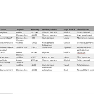 May include: A table showing a monthly budget with dates, descriptions, categories, amounts, payment methods, associated projects, comments, and a running balance. The table shows income and expenses for January and February 2025.