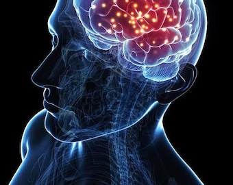 Thinking, Fast and Slow: Book Summary and Key Insights, How Your Brain Tricks You and What to Do About It.