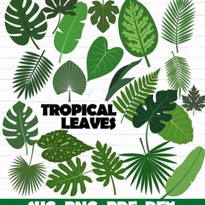 Tropical Leaves SVG Bundle, Tropical Leaf Vector, Monstera leaf SVG, Cricut Tropical Svg, Palm Leaf Tree, tropical Leaf Silhouette files,