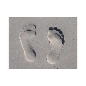 Sock It to Me! Funny Kids Socks – Organic Cotton, Toe Talk Design, Fun & Comfy for Children