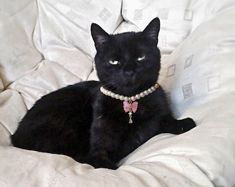 Personalized Pearl Cat Collar: Elegant Beaded Pet Necklace