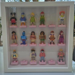 Può includere: Una cornice a vetrina bianca contenente quindici piccole statuette in plastica disposte su tre file. Ogni personaggio poggia su una base rosa con un'etichetta col nome. I personaggi includono Topolino, Paperino, Trilli, Peter Pan, Jessie, Aladdin, Genio, Vaiana, Maui, Hercules, Megara, Pinocchio, Hector, Miguel e Mr. Incredible.