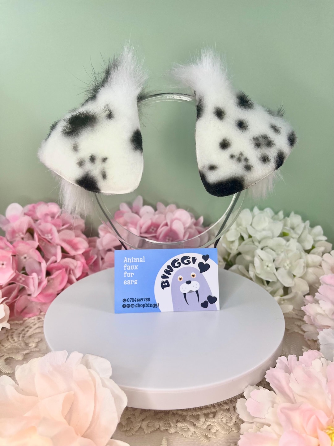Dalmatian Ears