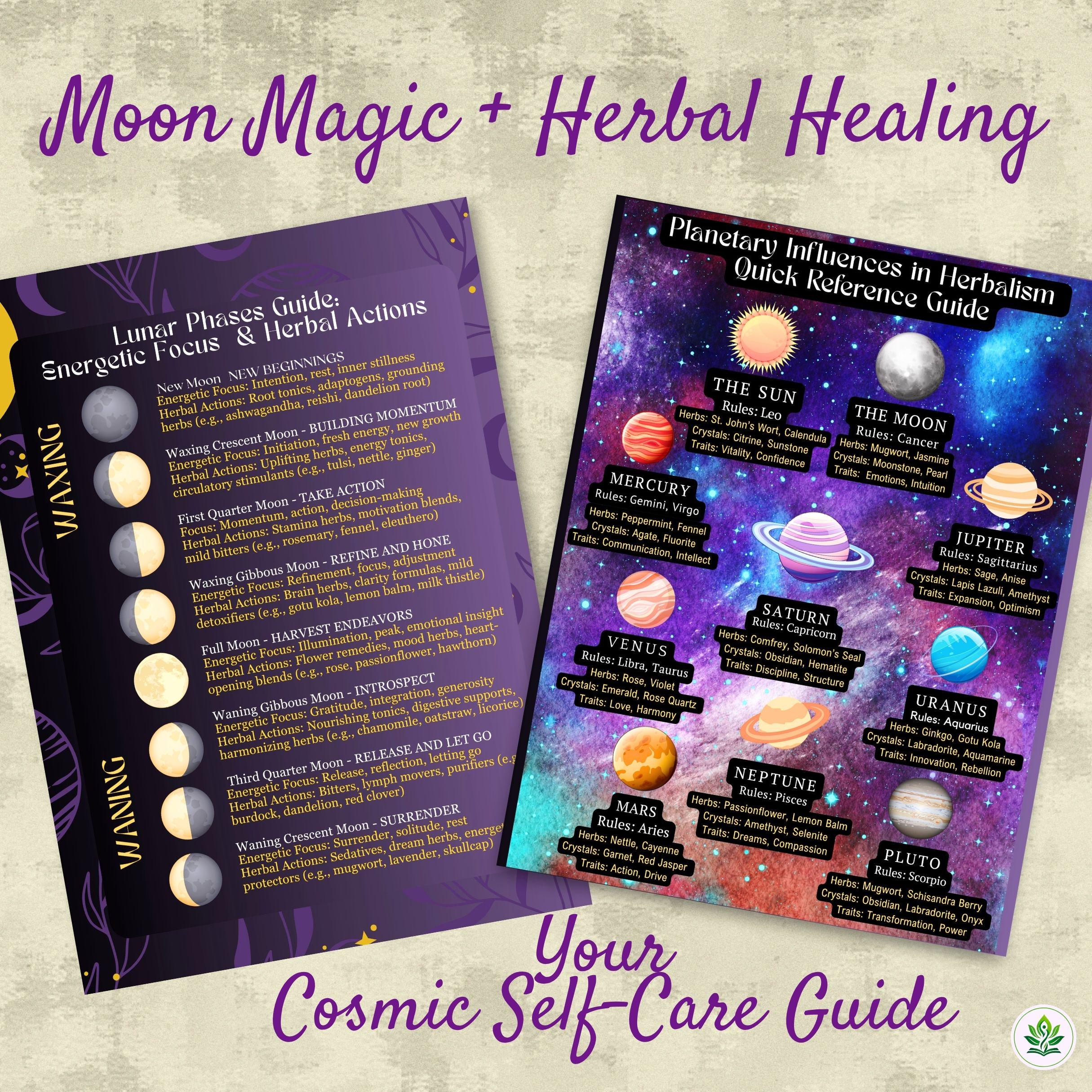 ハーブ占星術ガイド：星座別ヒーリングレメディ、月の儀式、植物の魔法