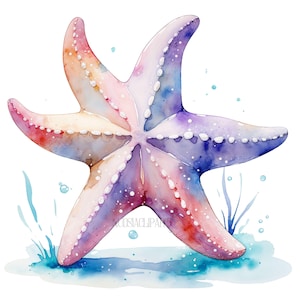 Etoile de mer aquarelle clipart sous-marin, clipart ocean, animaux marins png, baby shower, décoration chambre d’enfant, clipart aquarelle,
