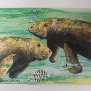 5 Note cards Manatee Variety 5 x 7 note card RTobaison WatercolorNmore Florida image 2