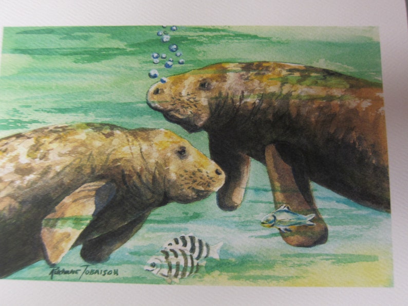 5 Note cards Manatee Variety 5 x 7 note card RTobaison WatercolorNmore Florida image 2