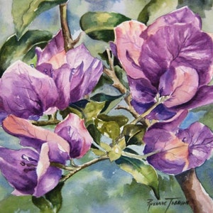 Magnolia, Bougainvilleas, Orchids, Hibiscus 6 Choices, Watercolor Print 11x14,Tropical, RTobaison Home Decor image 5