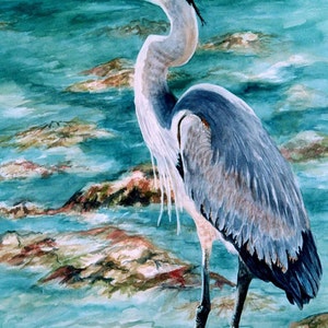 Great Blue Heron Watercolor 8x12, 11x16, print Florida Shorebird Print GiClee watecolorsNmore Coastal RTobaison image 1