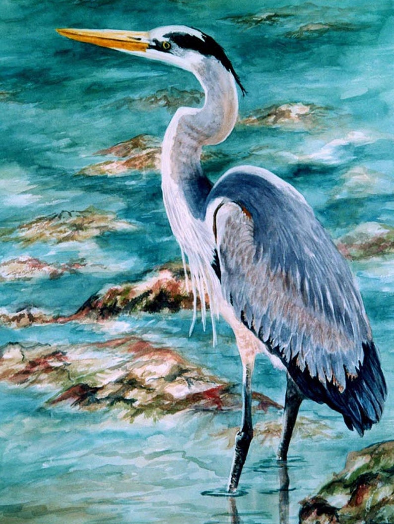 Great Blue Heron Watercolor 8x12 11x16 or 5 x 7 note card image 0