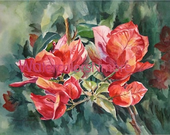 Magnolia, Bougainvilleas, Orchids, Hibiscus 6 Choices, Watercolor Print 11x14,Tropical, @RTobaison Home Decor