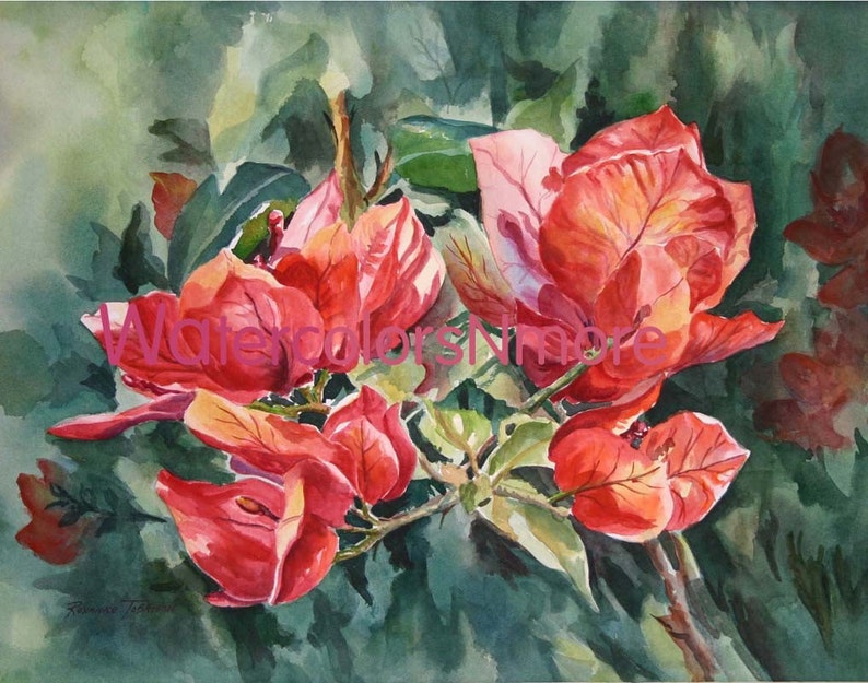 May include: Watercolor painting of red bougainvillea flowers with green leaves. The flowers are in full bloom and have a delicate, layered texture.