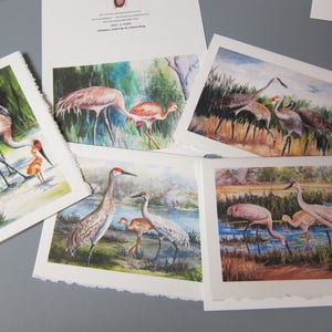 Sandhill Cranes, Variety 5 Note ART Cards 5 x 7 blank greeting Notes Handmade watercolor prints RTobaison afbeelding 1