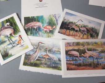 Sandhill Cranes, Variety 5 Note ART Cards 5 x 7 blank greeting Notes Handmade watercolor prints @RTobaison