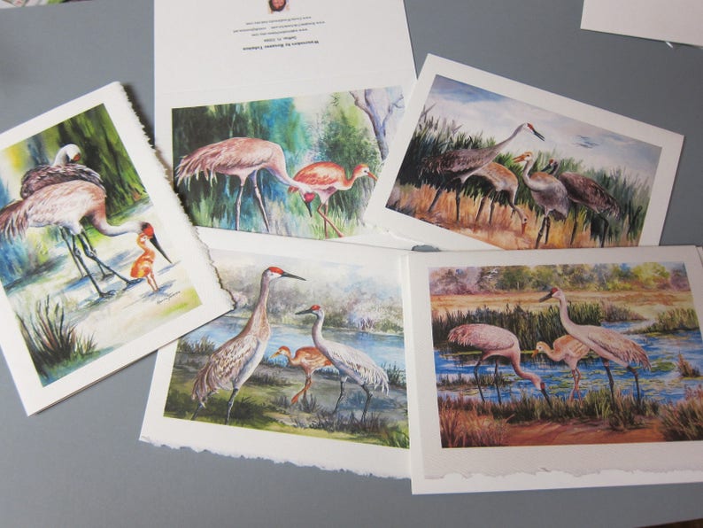 Sandhill Cranes, Variety 5 Note ART Cards 5 x 7 blank greeting Notes Handmade watercolor prints RTobaison afbeelding 1