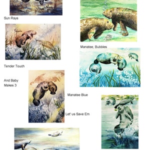 5 Note cards Manatee Variety 5 x 7 note card RTobaison WatercolorNmore Florida image 7