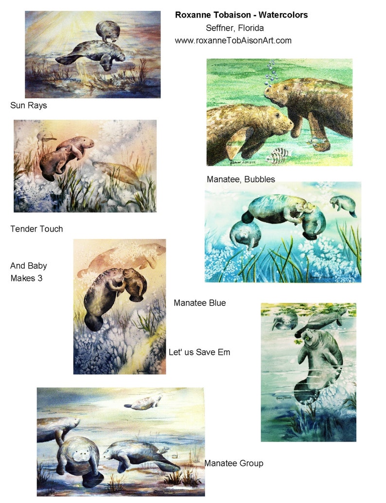 5 Note cards Manatee Variety 5 x 7 note card RTobaison WatercolorNmore Florida image 7