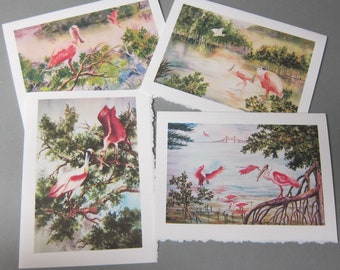 Spoonbills, assortments (4) 5x7 Note Cards, Florida, shorebirds, Blank, greeting cards, mangroves,