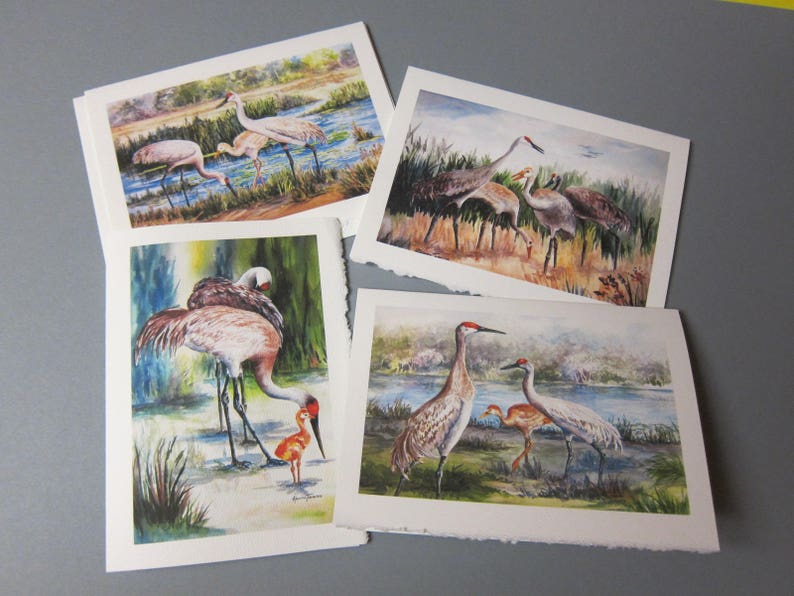 Sandhill Cranes, Variety 5 Note ART Cards 5 x 7 blank greeting Notes Handmade watercolor prints RTobaison afbeelding 2