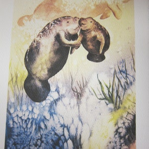 5 Note cards Manatee Variety 5 x 7 note card RTobaison WatercolorNmore Florida image 5