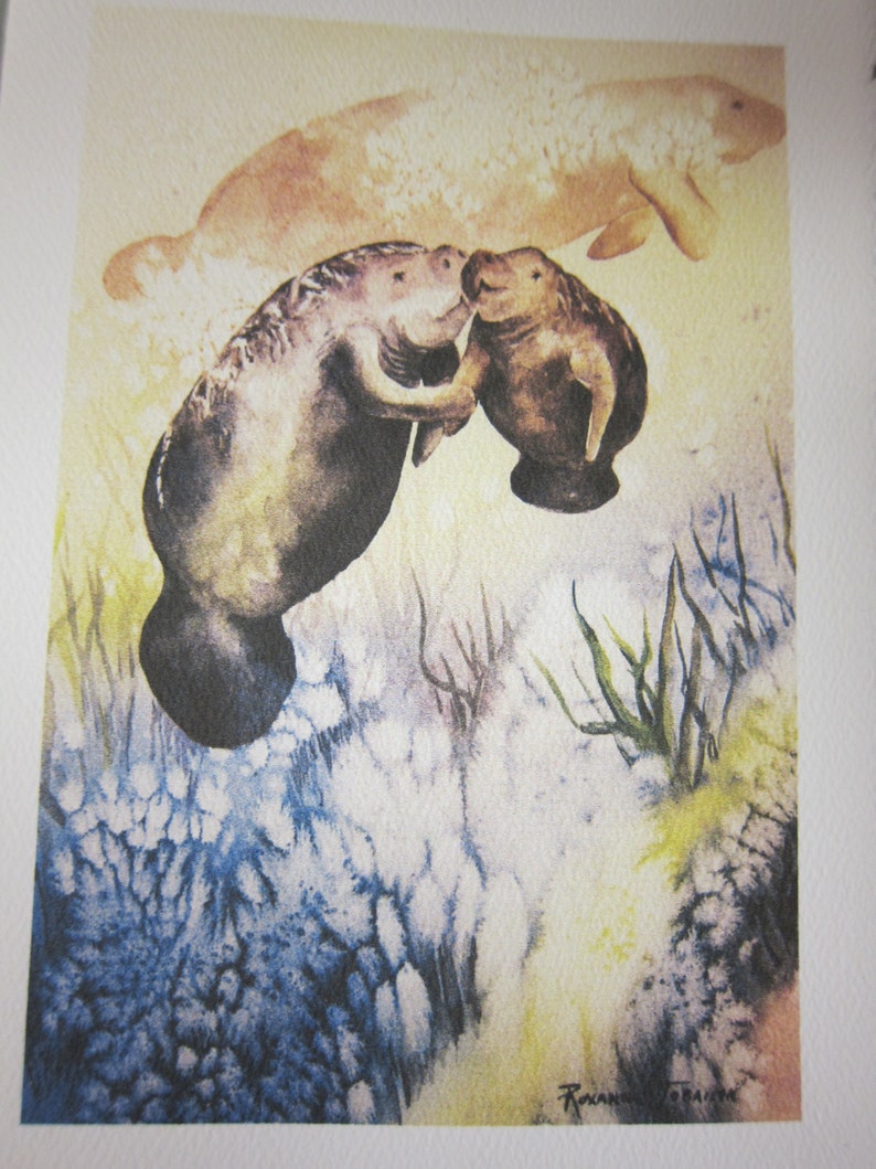 5 Note cards Manatee Variety 5 x 7 note card RTobaison WatercolorNmore Florida image 5