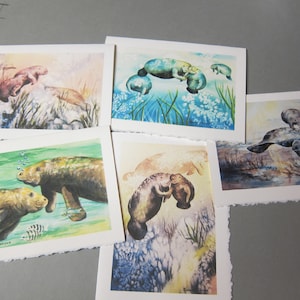 5 Note cards Manatee Variety 5 x 7 note card RTobaison WatercolorNmore Florida image 1