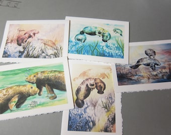 5 Note cards - Manatee Variety 5 x 7 note card Blank Florida