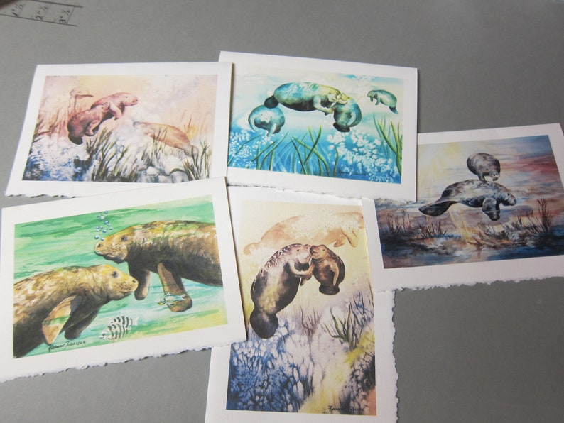 5 Note cards Manatee Variety 5 x 7 note card RTobaison WatercolorNmore Florida image 1